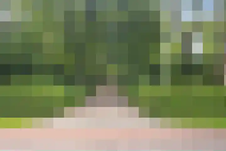 Stoomweg 71 Breezand thumbnail 45