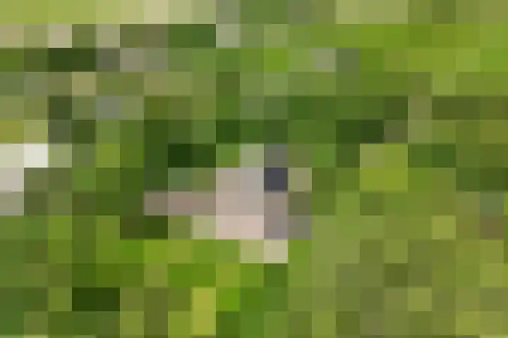 Stoomweg 71 Breezand thumbnail 46