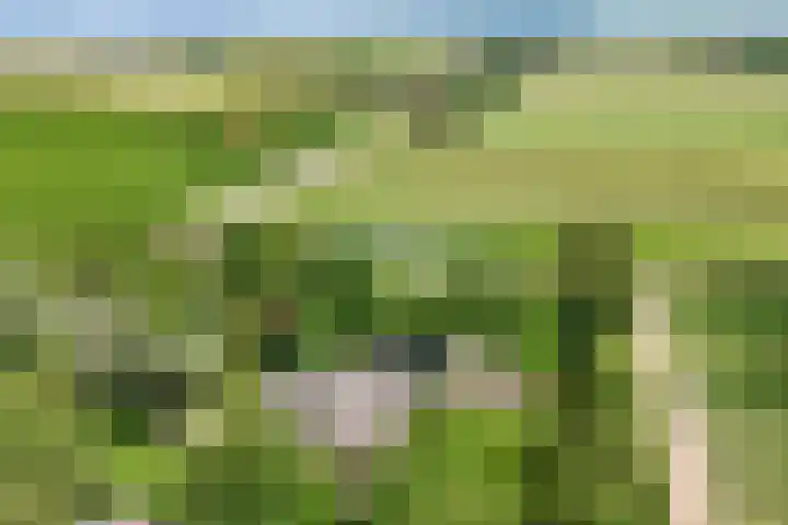 Stoomweg 71 Breezand thumbnail 47