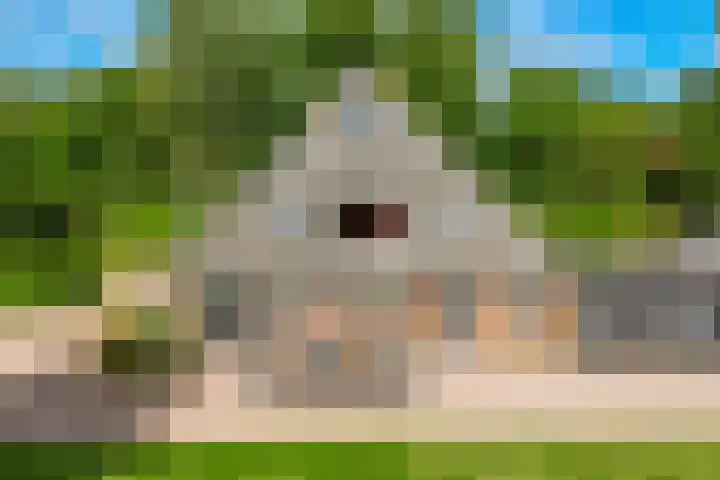 Stoomweg 71 Breezand thumbnail 48