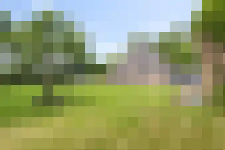 Stoomweg 71 Breezand thumbnail 5