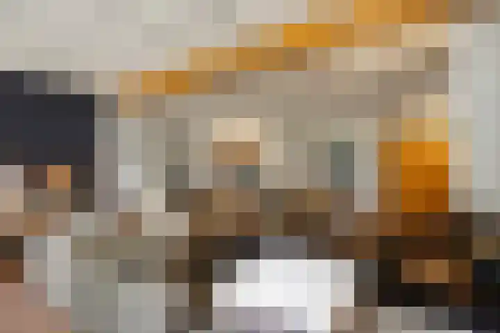 Stoomweg 71 Breezand thumbnail 8