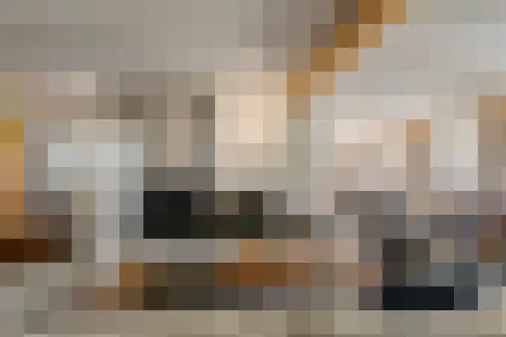 Stoomweg 71 Breezand thumbnail 9