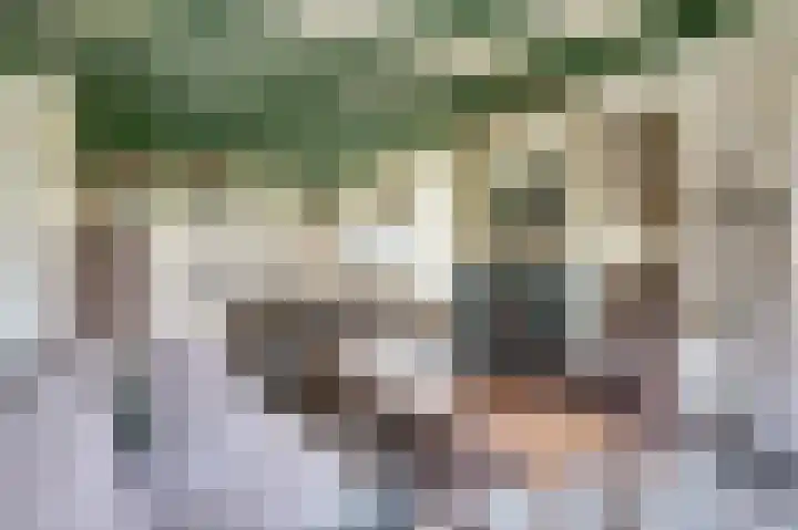 Stoomweg 73 Breezand thumbnail 12