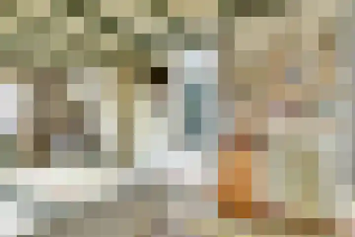 Stoomweg 73 Breezand thumbnail 18