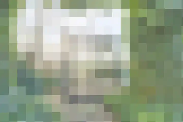 Stoomweg 73 Breezand thumbnail 33