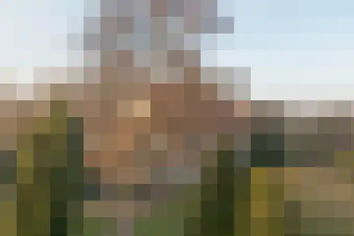 Stoomweg 73 Breezand thumbnail 37