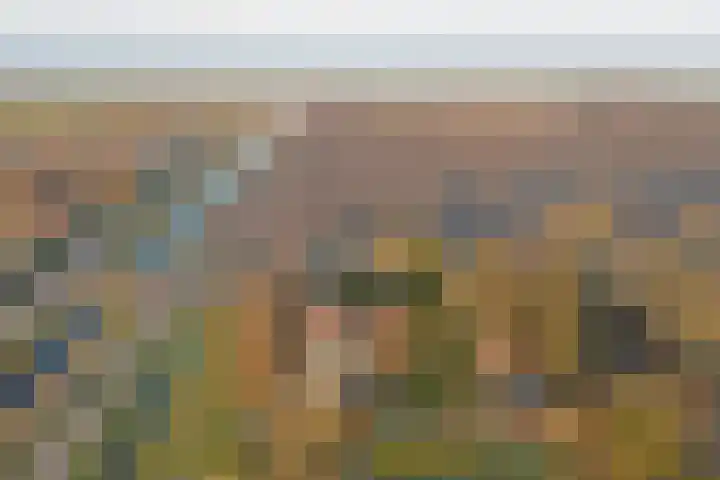 Stoomweg 73 Breezand thumbnail 38