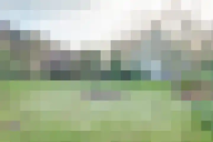 Stoomweg 73 Breezand thumbnail 4