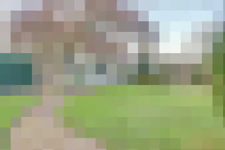 Stoomweg 73 Breezand thumbnail 6