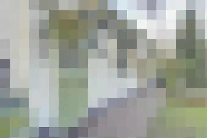 Stoomweg 73 Breezand thumbnail 7