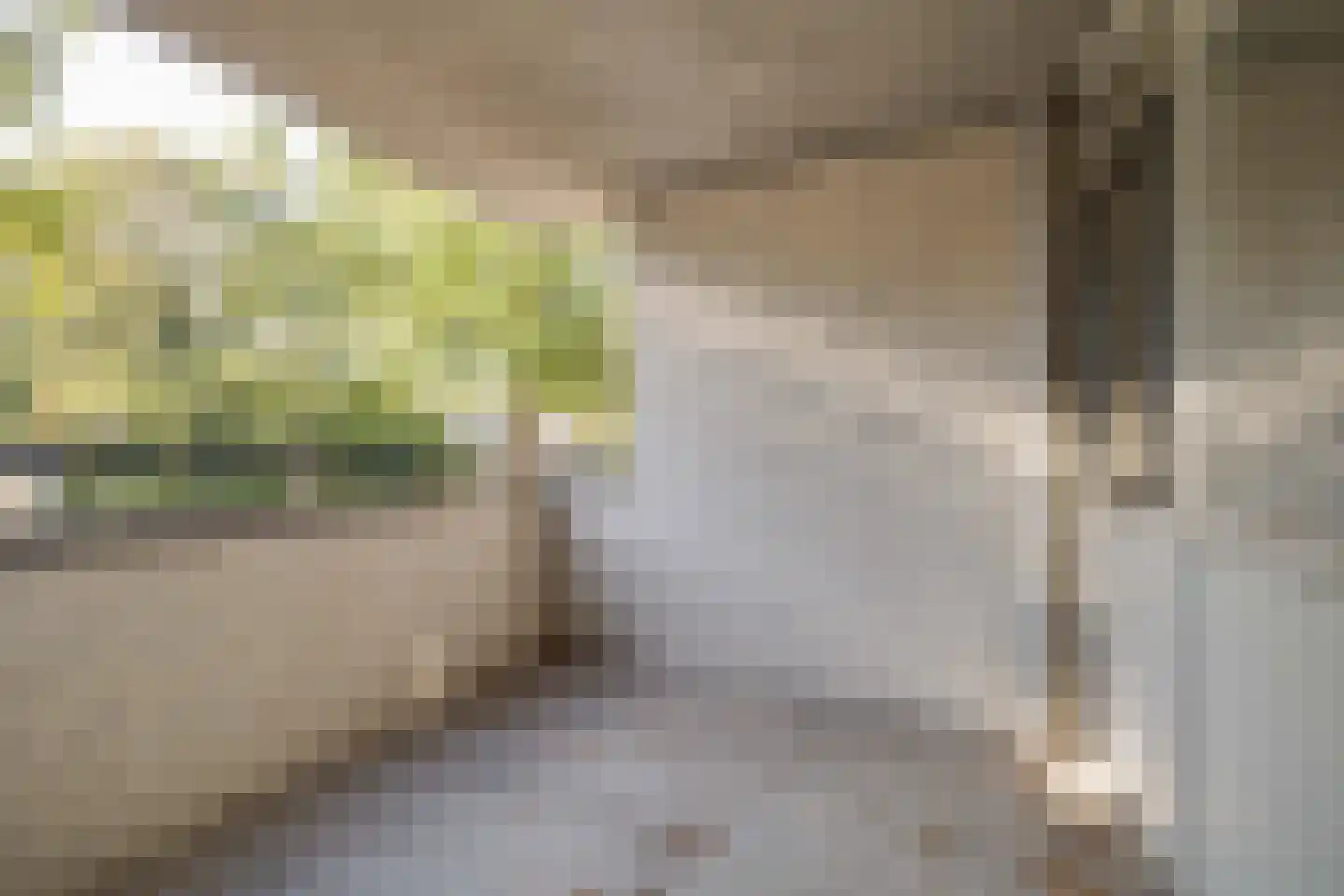 Stoomwezenstraat 14 Apeldoorn thumbnail 5
