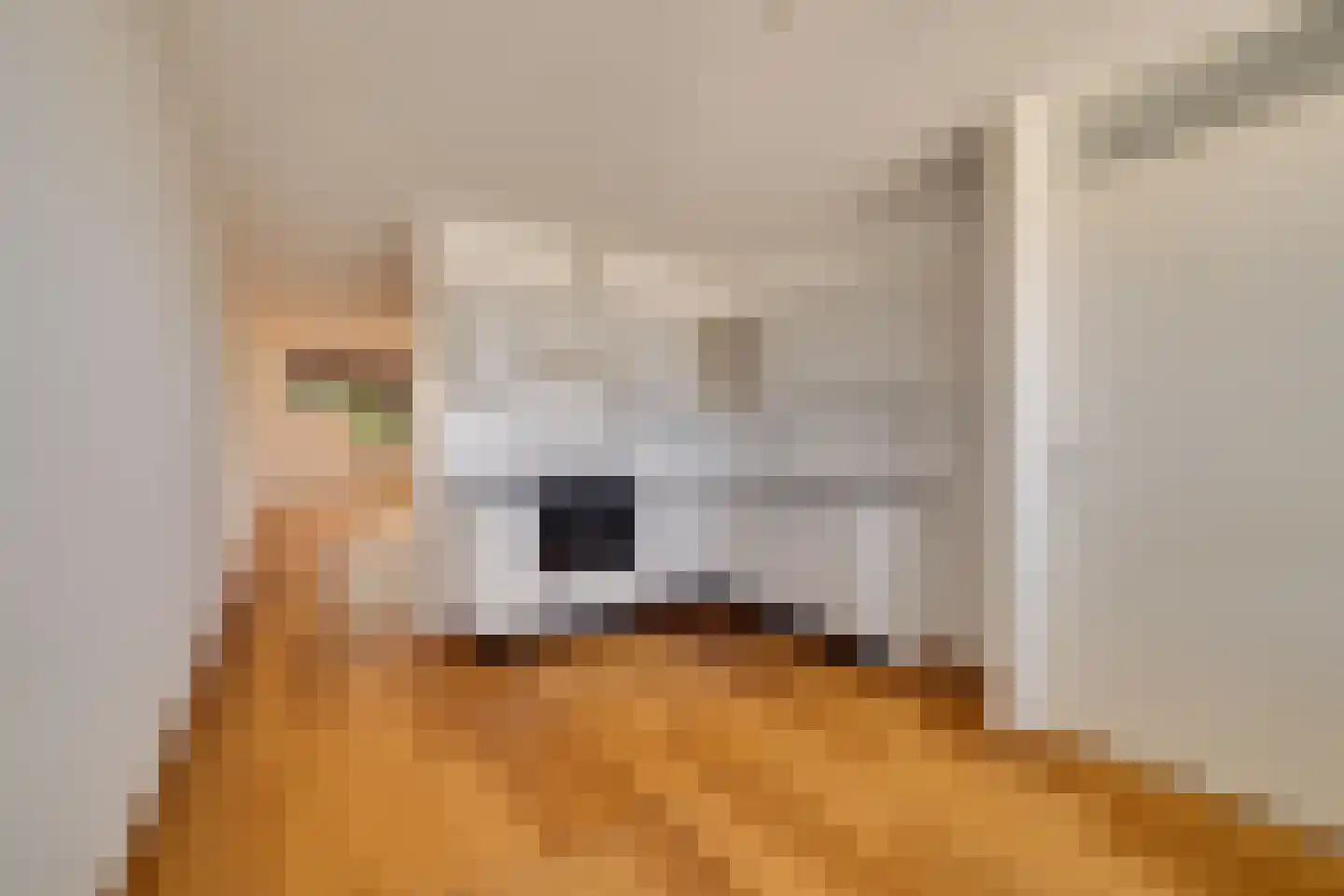 Stoomwezenstraat 32 Apeldoorn thumbnail 10