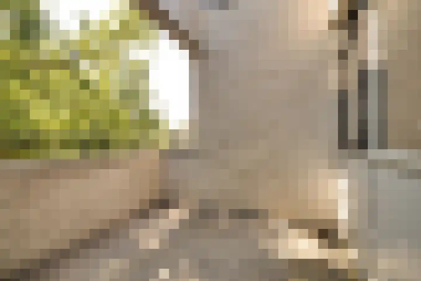 Stoomwezenstraat 32 Apeldoorn thumbnail 6