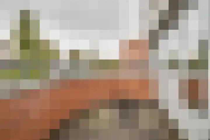 Stoomwezenstraat 54 Apeldoorn thumbnail 9