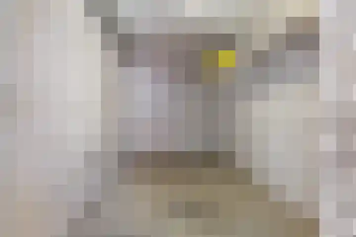 Stoomwezenstraat 8 Apeldoorn thumbnail 23