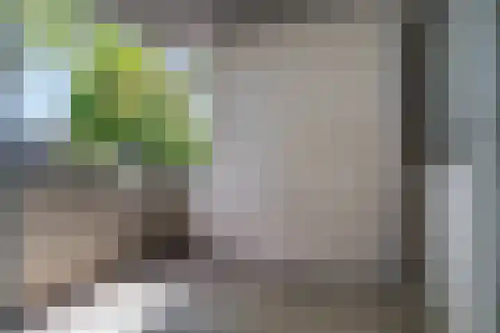 Stoomwezenstraat 8 Apeldoorn thumbnail 5