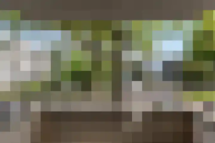 Stoomwezenstraat 8 Apeldoorn thumbnail 6