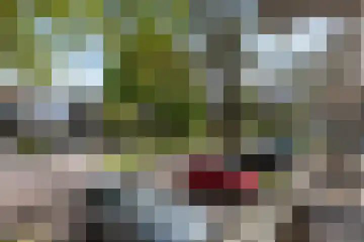 Stoomwezenstraat 8 Apeldoorn thumbnail 7