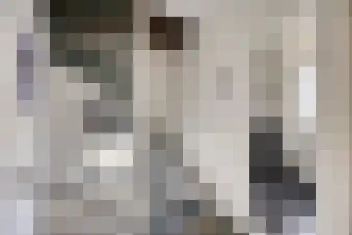 Stoop van Zwijndrechtstraat 14 Zwijndrecht thumbnail 16