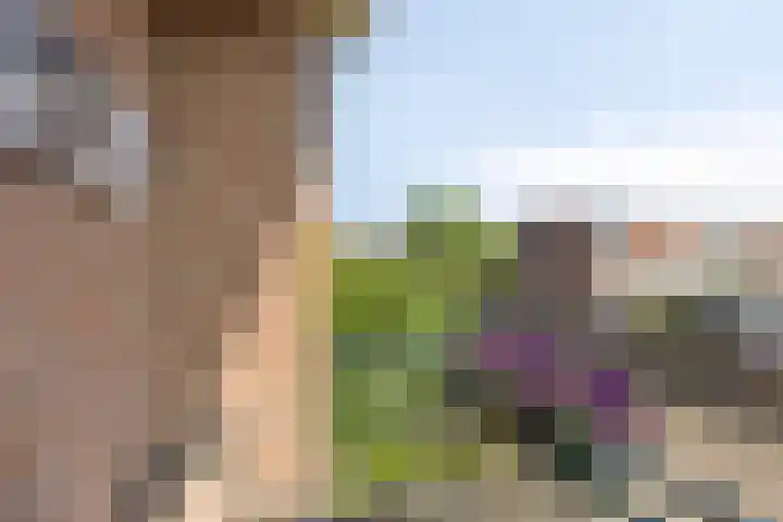 Stoop van Zwijndrechtstraat 14 Zwijndrecht thumbnail 20