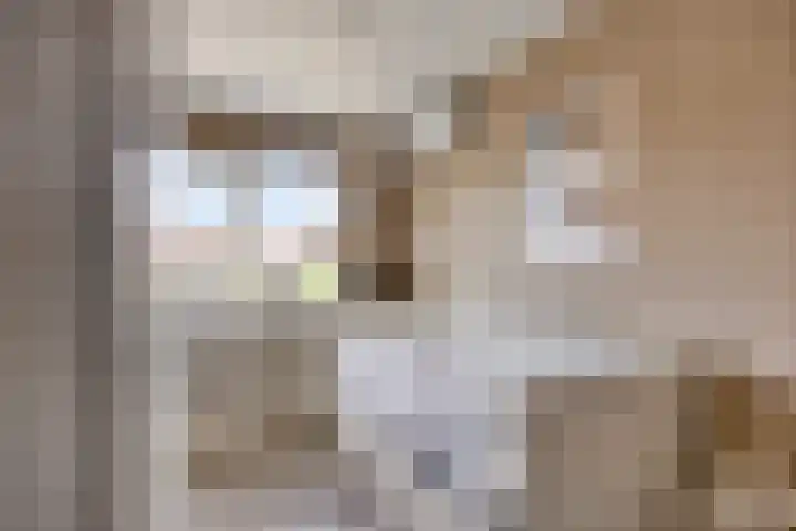 Stoop van Zwijndrechtstraat 14 Zwijndrecht thumbnail 21