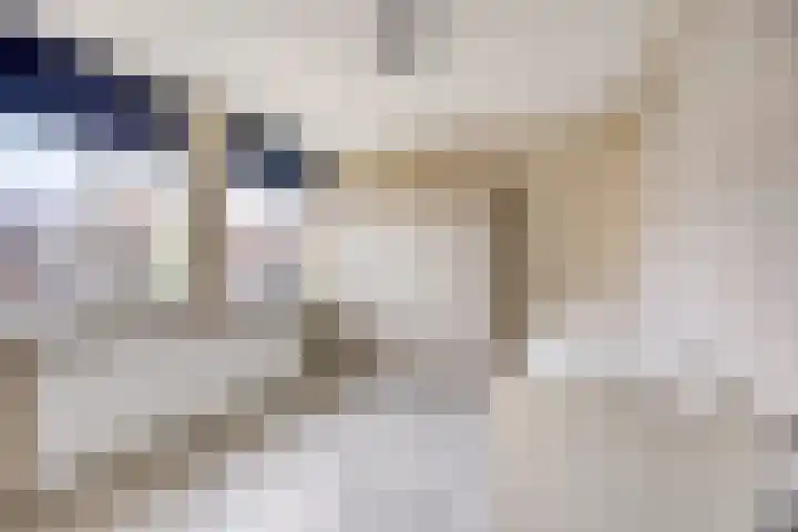 Stoop van Zwijndrechtstraat 14 Zwijndrecht thumbnail 22