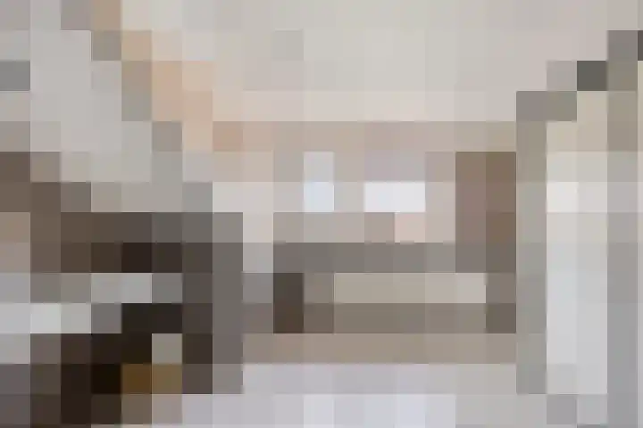 Stoop van Zwijndrechtstraat 14 Zwijndrecht thumbnail 26