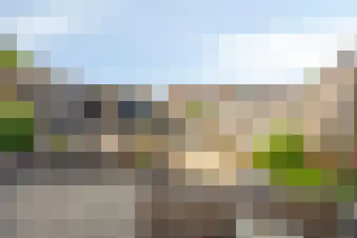 Stoop van Zwijndrechtstraat 14 Zwijndrecht thumbnail 28