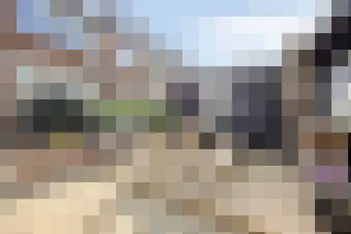 Stoop van Zwijndrechtstraat 14 Zwijndrecht thumbnail 30