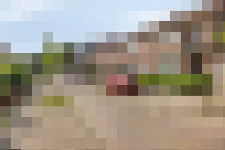Stoop van Zwijndrechtstraat 14 Zwijndrecht thumbnail 4