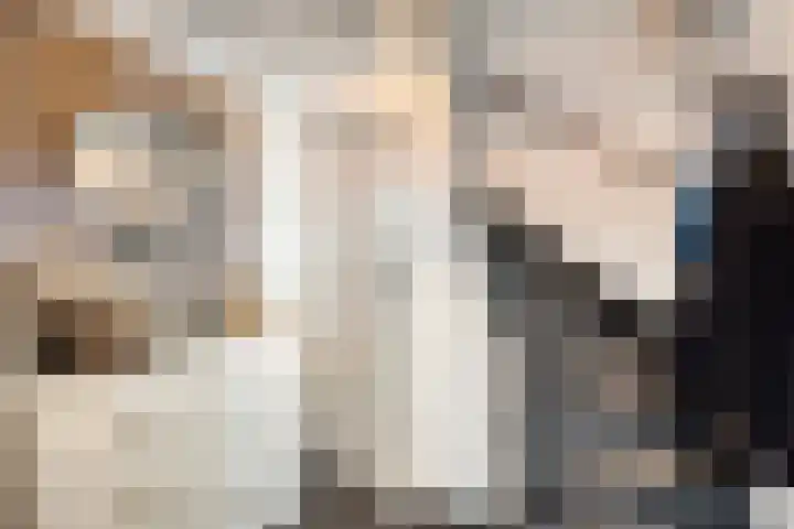 Stoop van Zwijndrechtstraat 14 Zwijndrecht thumbnail 5