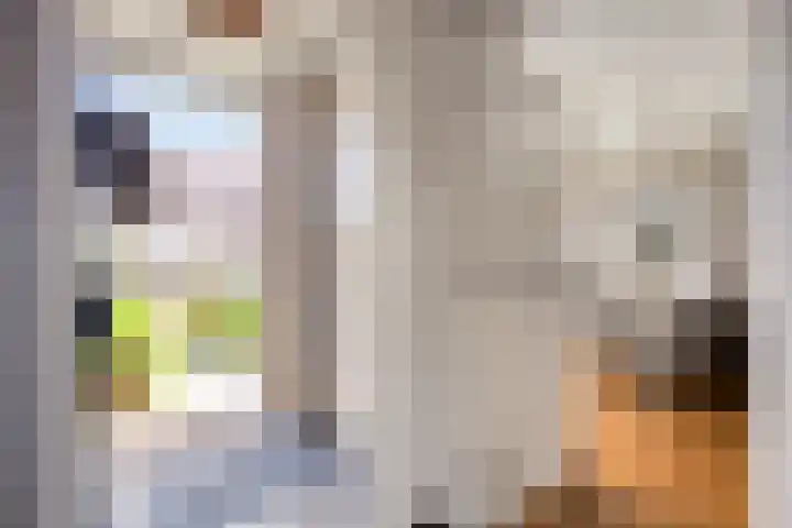 Stoop van Zwijndrechtstraat 14 Zwijndrecht thumbnail 6
