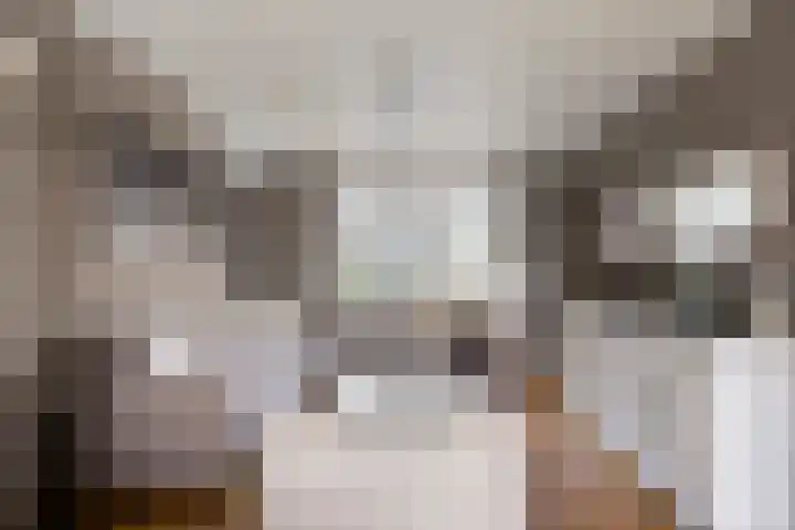 Stoop van Zwijndrechtstraat 14 Zwijndrecht thumbnail 7