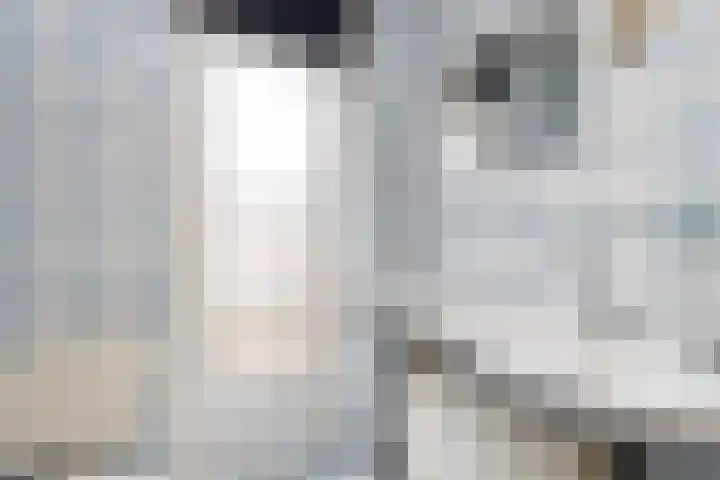 Stoop van Zwijndrechtstraat 16 Zwijndrecht thumbnail 13