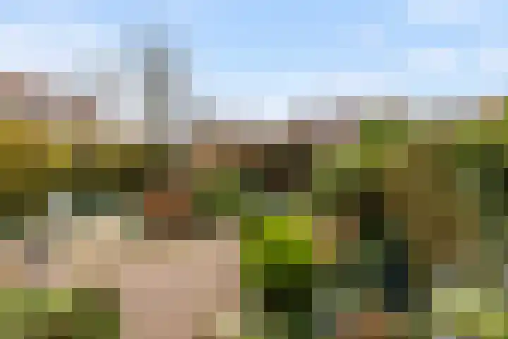 Stoop van Zwijndrechtstraat 16 Zwijndrecht thumbnail 26