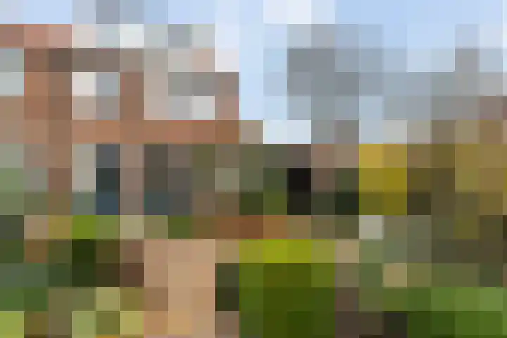 Stoop van Zwijndrechtstraat 16 Zwijndrecht thumbnail 28