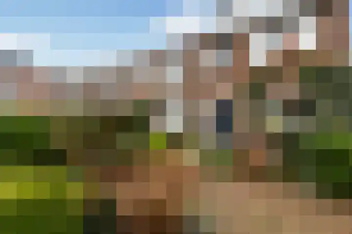 Stoop van Zwijndrechtstraat 16 Zwijndrecht thumbnail 29