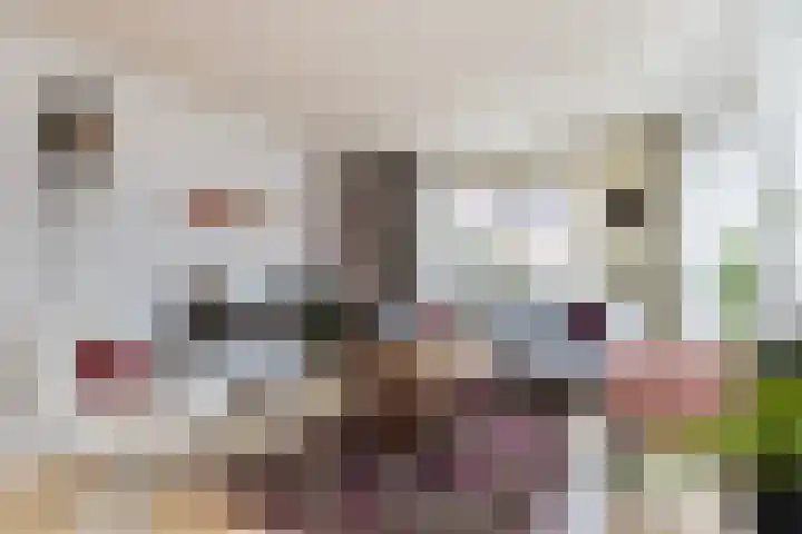 Stoop van Zwijndrechtstraat 16 Zwijndrecht thumbnail 4