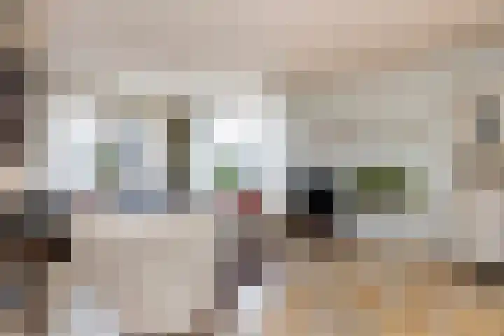 Stoop van Zwijndrechtstraat 16 Zwijndrecht thumbnail 5