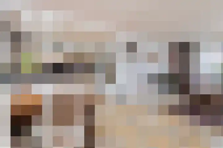 Stoop van Zwijndrechtstraat 16 Zwijndrecht thumbnail 9