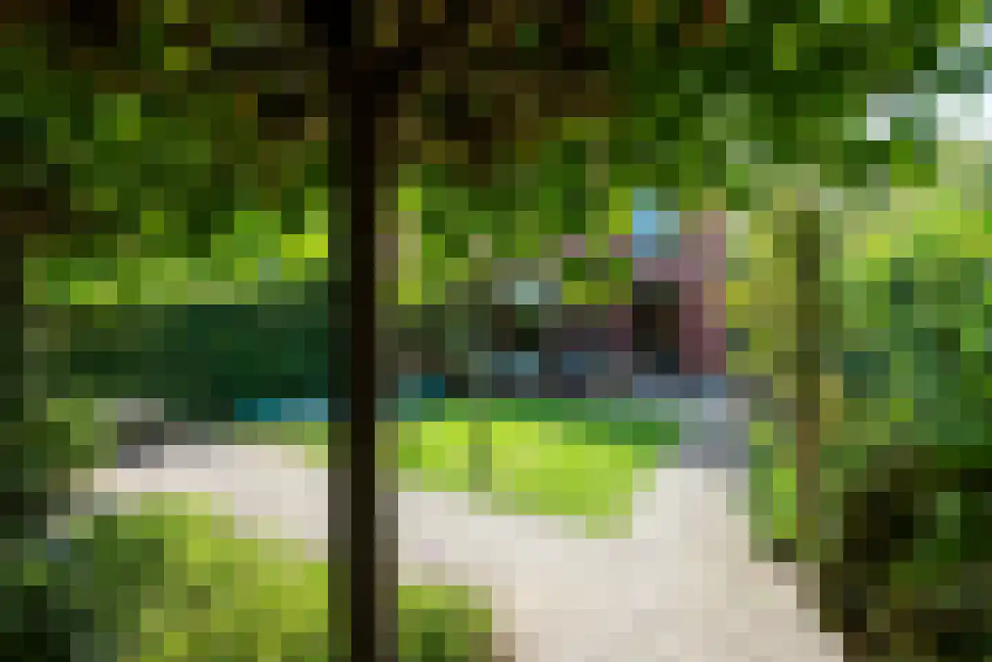 Stoopendaalweg 12 Loenen aan de Vecht thumbnail 27