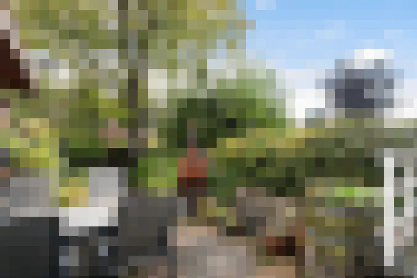 Stooplaan 20 Dordrecht thumbnail 31