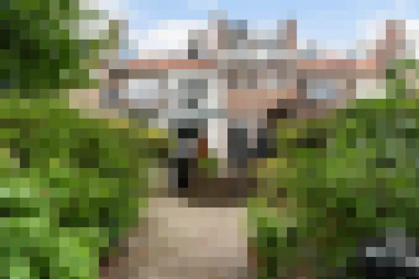 Stooplaan 20 Dordrecht thumbnail 37