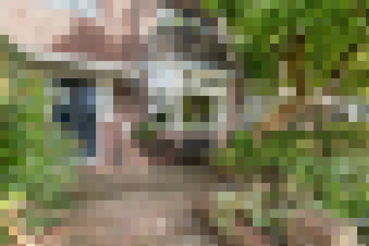 Stooplaan 20 Dordrecht thumbnail 7