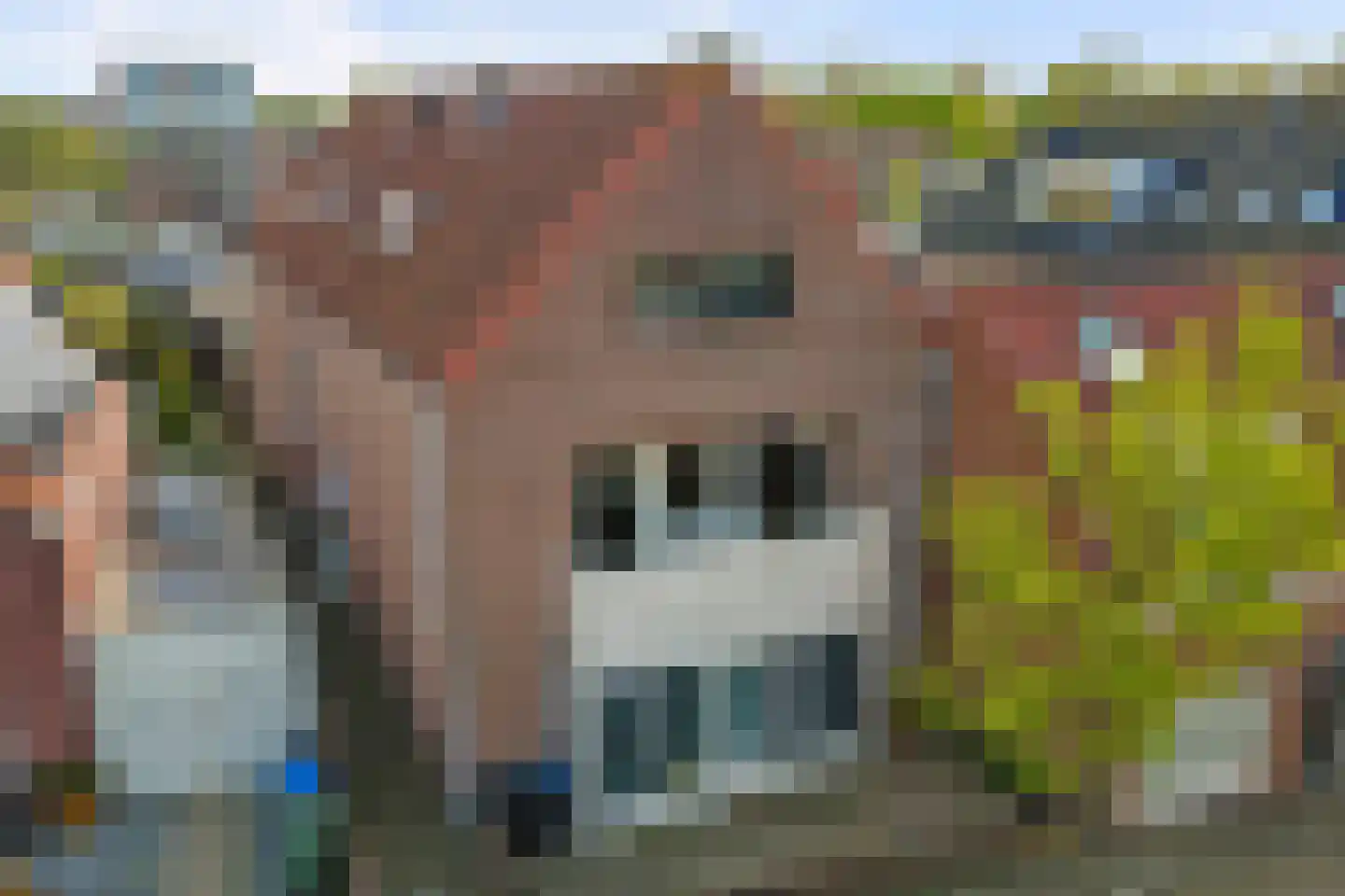 Stoopstraat 6 d in Roosendaal