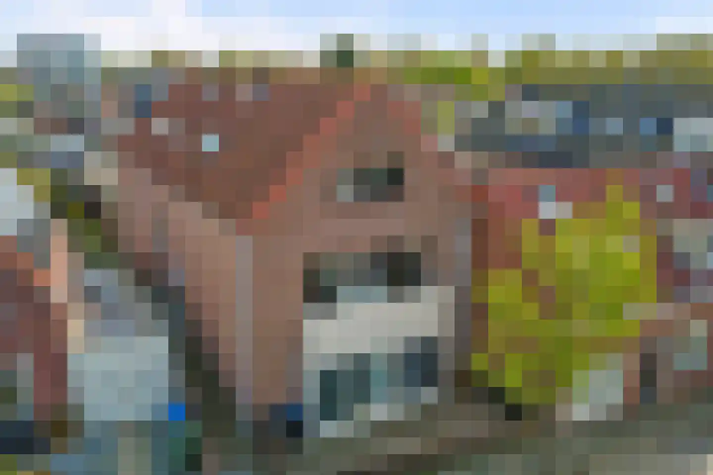 Stoopstraat 6 d Roosendaal thumbnail 20