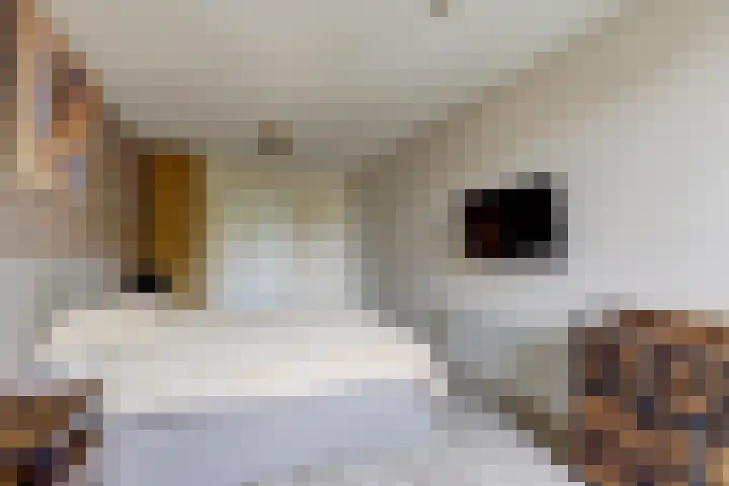 Stoopstraat 6 d Roosendaal thumbnail 8