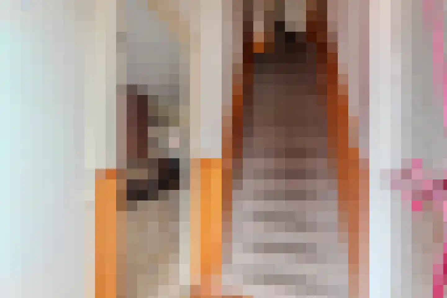 Stoopstraat 85 Roosendaal thumbnail 9