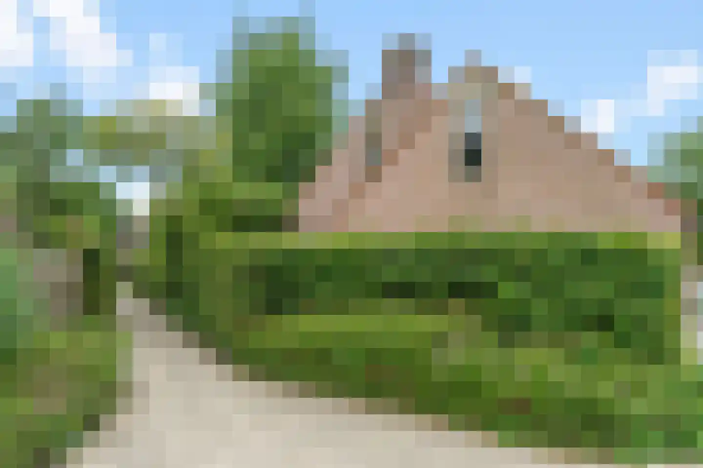 Stootvalk 22 Nieuwegein thumbnail 19